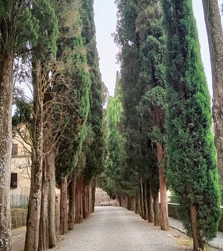 Badia a Passignano-佩萨河谷塔瓦内莱必去景点