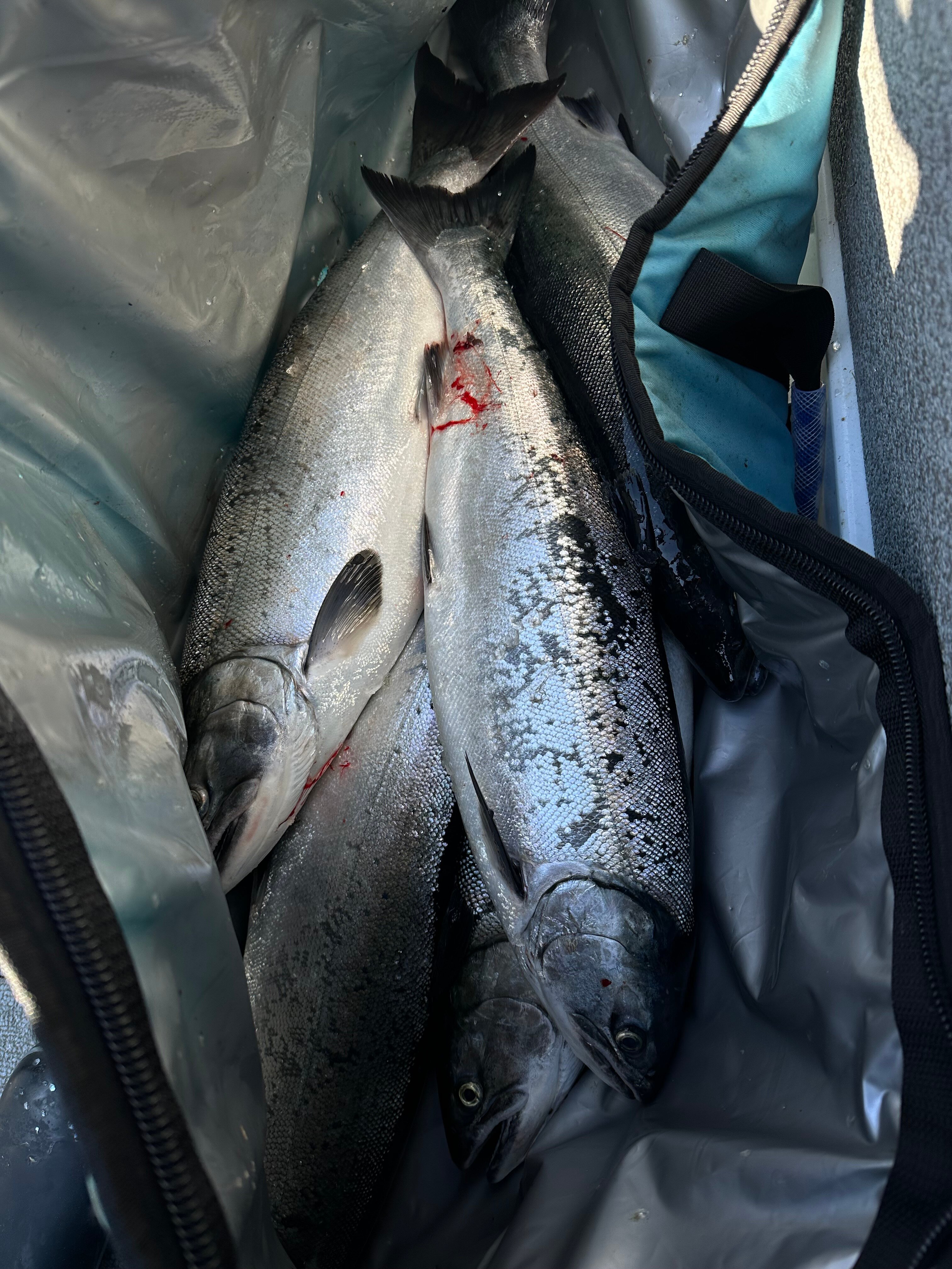 Mason's Resort-官方