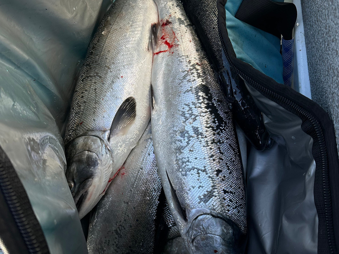 Mason's Resort主图