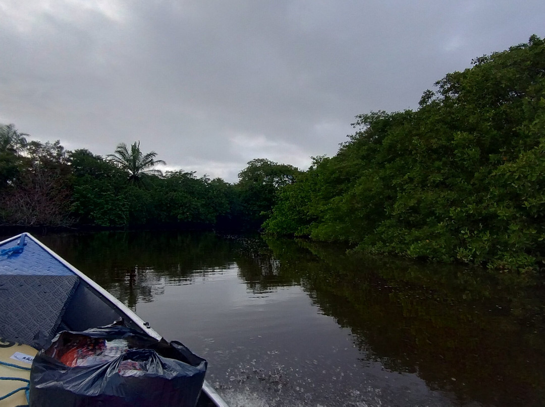 Hidrovia Canavieiras-Belmonte-Canavieiras必去景点