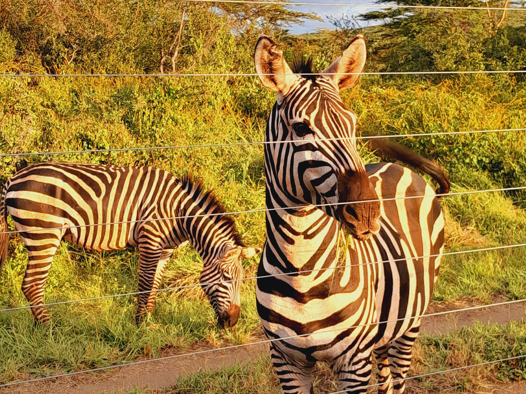 Sote Tours & Travel-莫西必去景点
