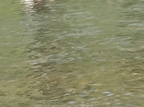 Arrowhead-Thunderbird Resort- not managed or viewed by the business-Tahlequah必去景点