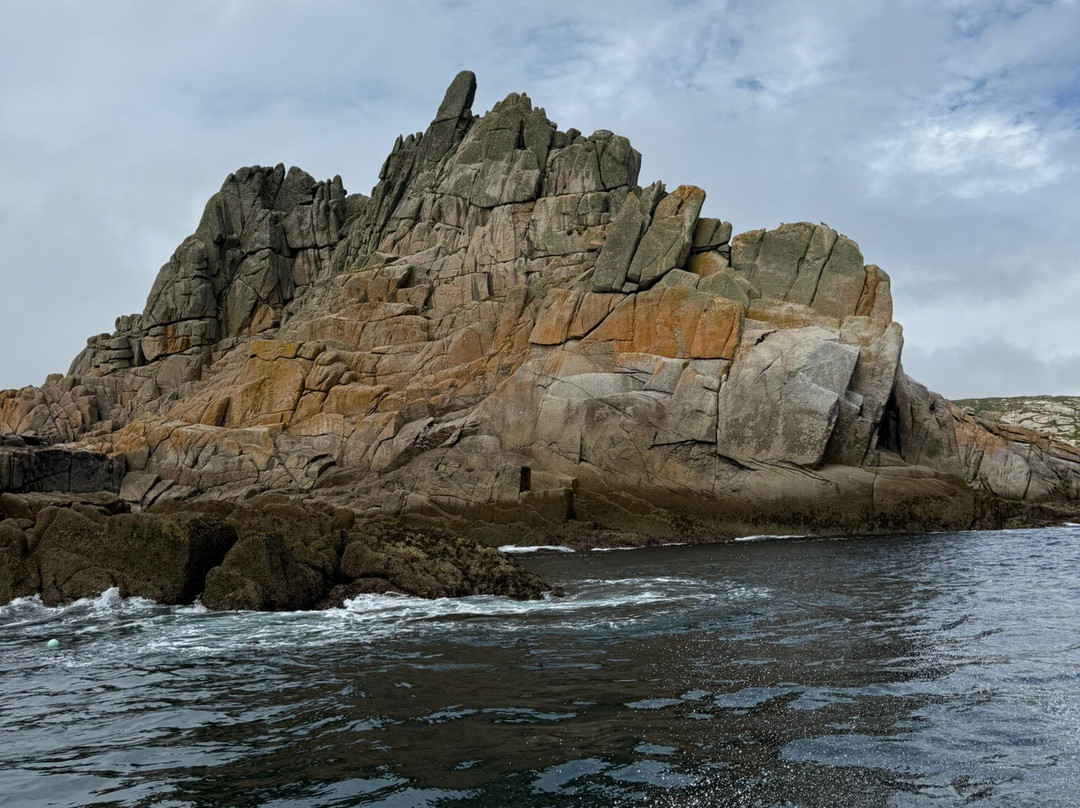 Coast Boat Trips in Cornwall-圣艾维斯必去景点