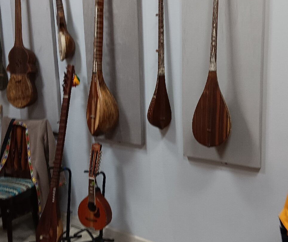 The Ziyodullo Shahidi Museum Of Musical Culture-杜尚别必去景点
