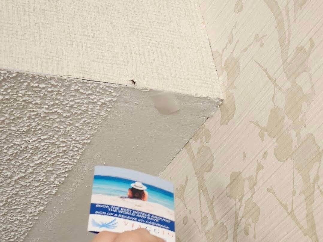 Monte Carlo Inn - Oakville Suites主图