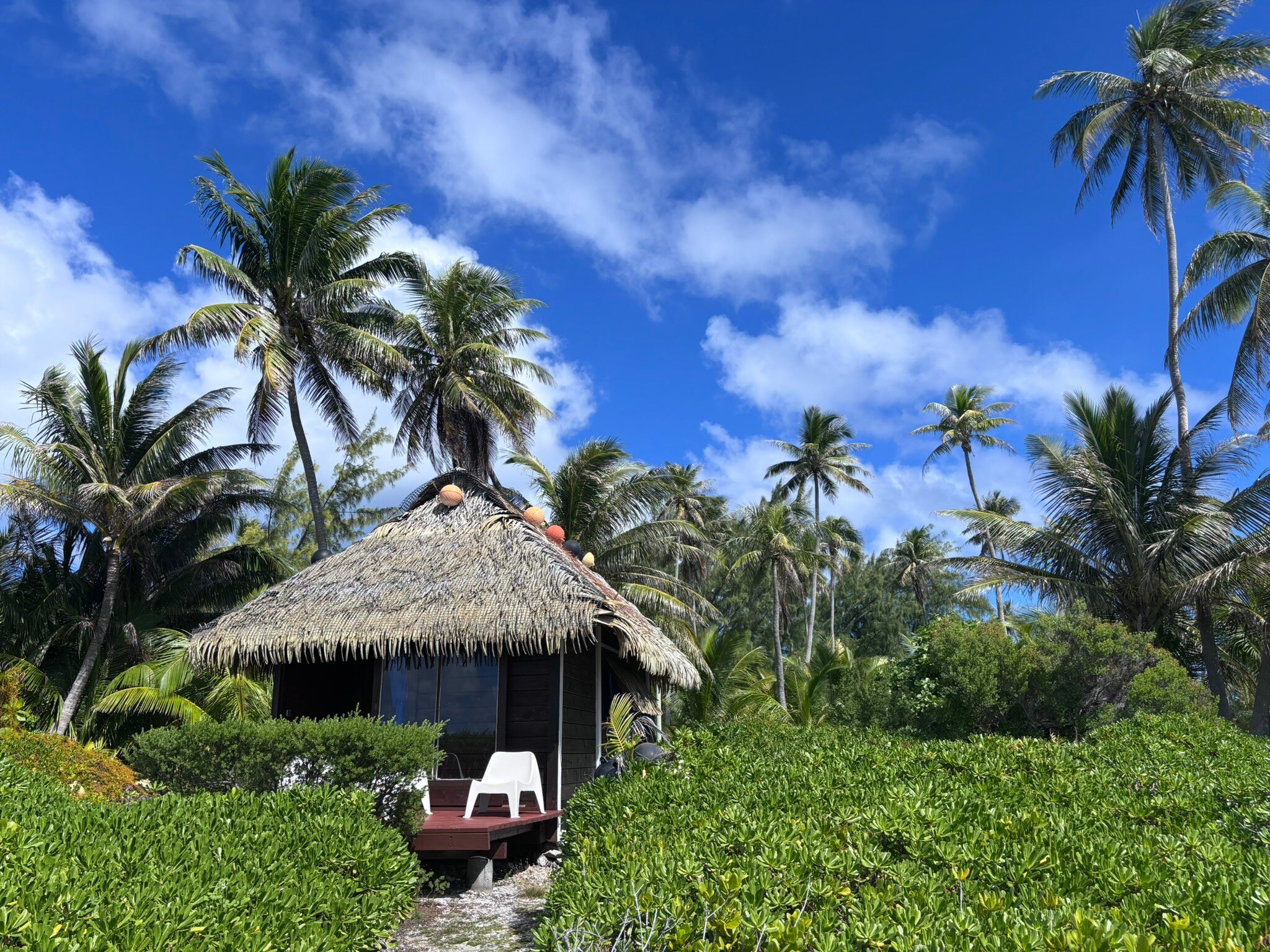 Raimiti-官方
