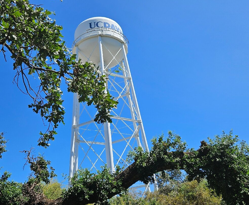 戴维斯大学植物园-戴维斯必去景点