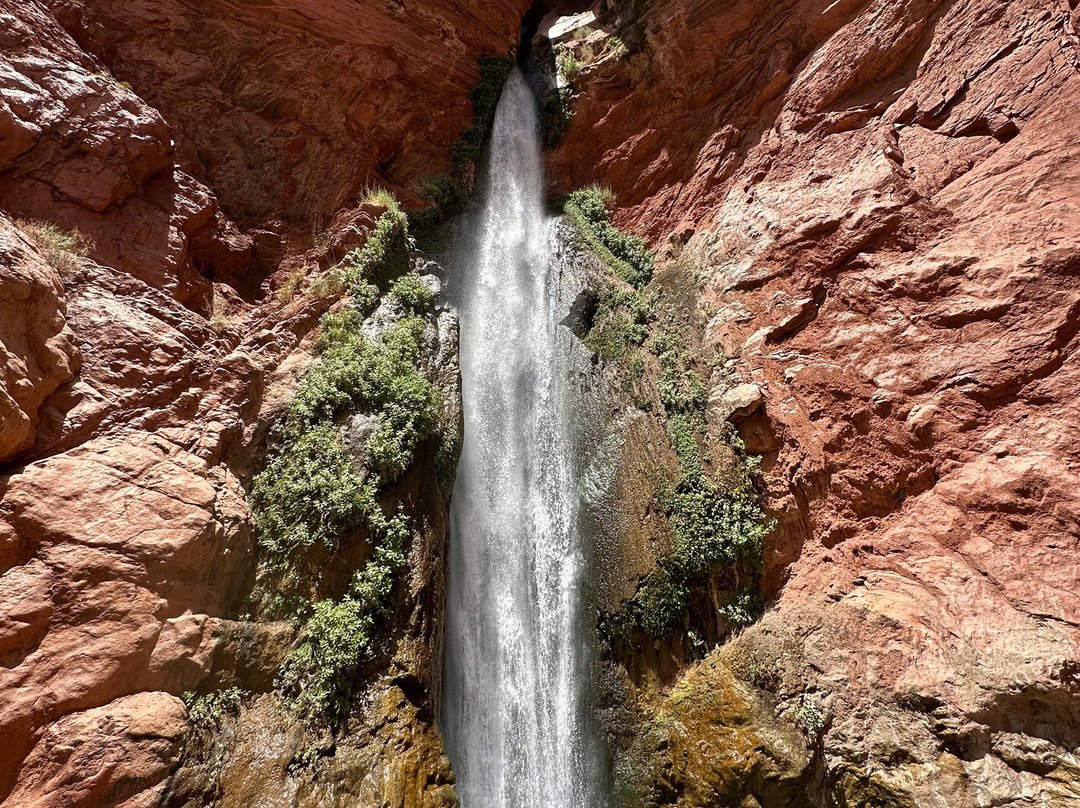 Oars Grand Canyon-弗拉格斯塔夫必去景点