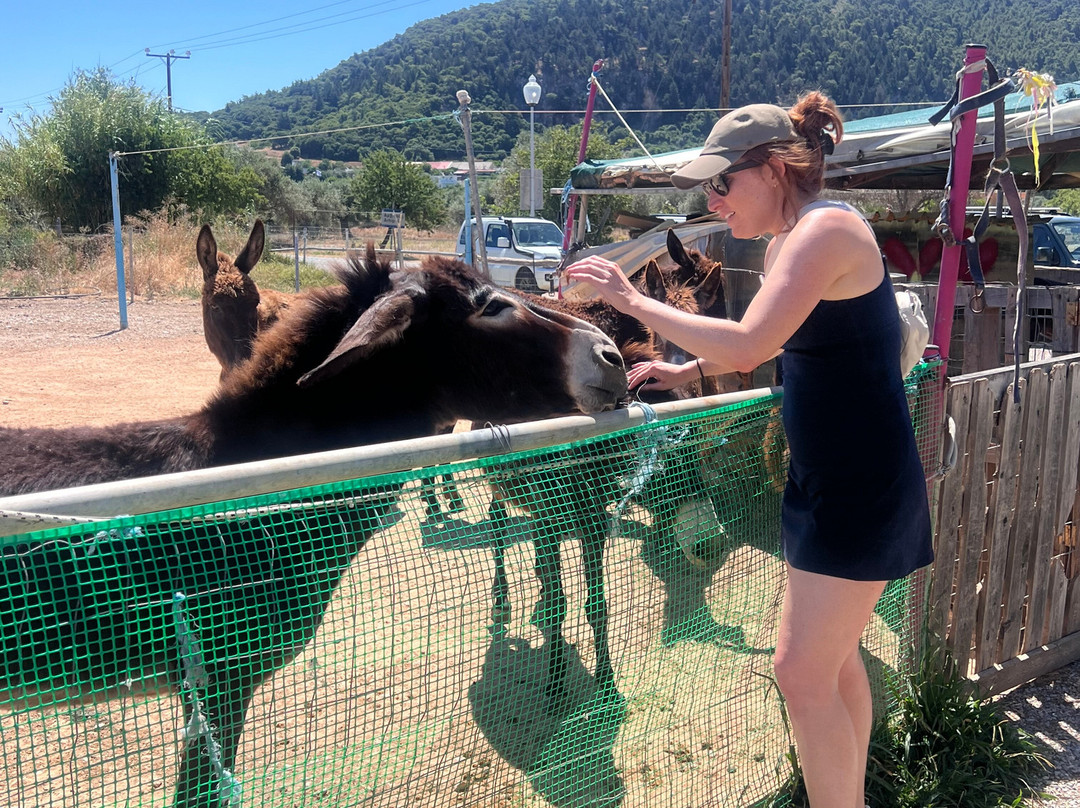 Bees House Rodos-Archipoli必去景点