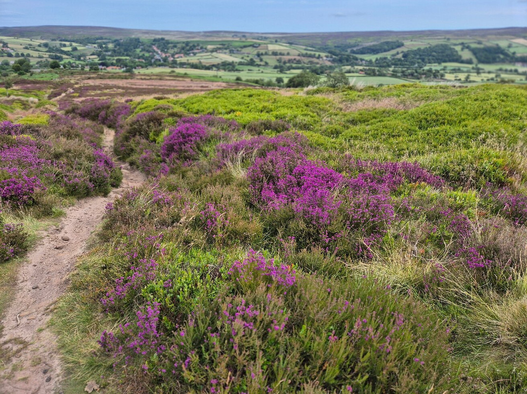 The Fox & Hounds主图