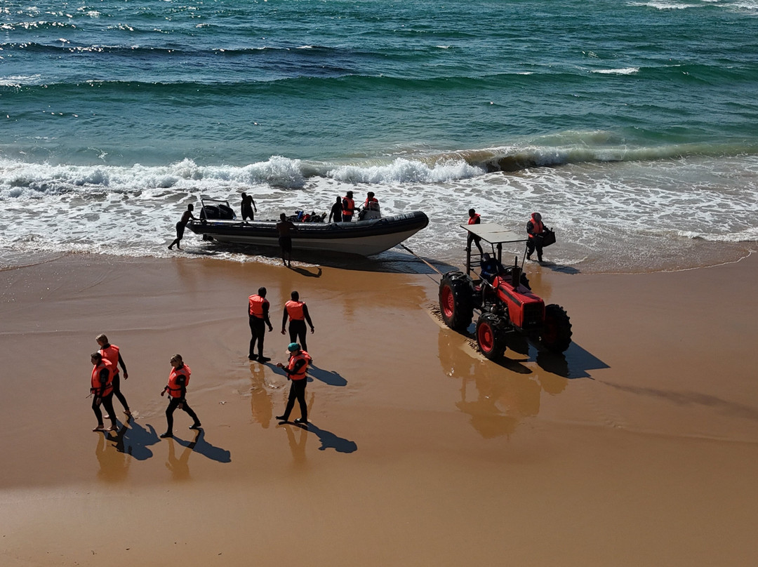 Tofo Scuba-托佛必去景点