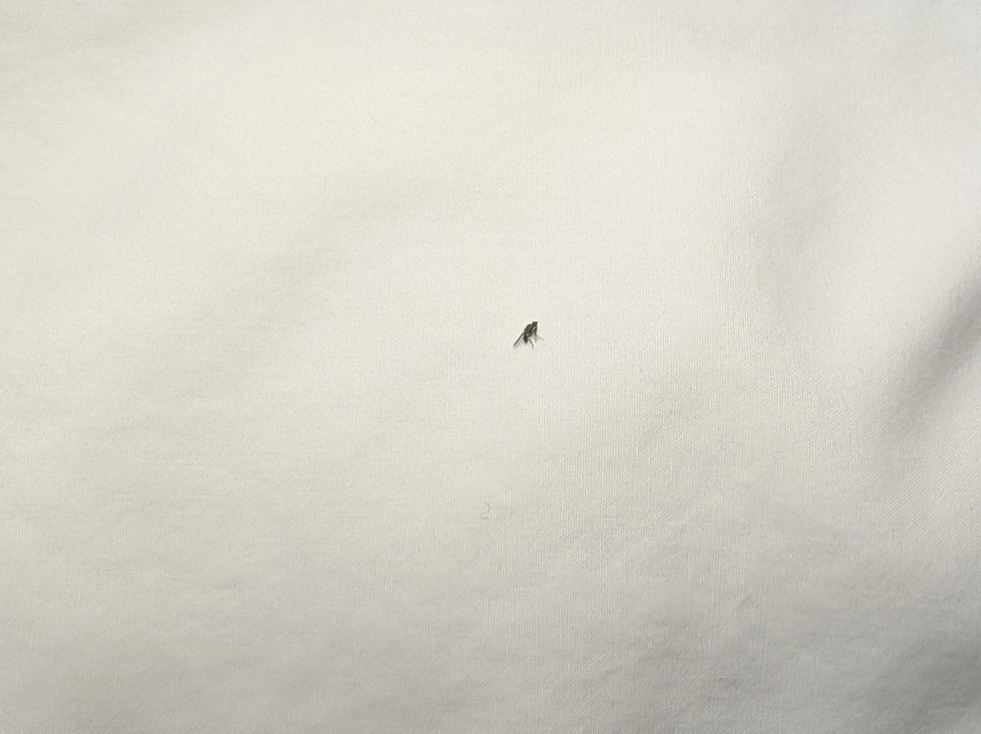 Hampton Inn By Hilton Youngstown-west I-80主图