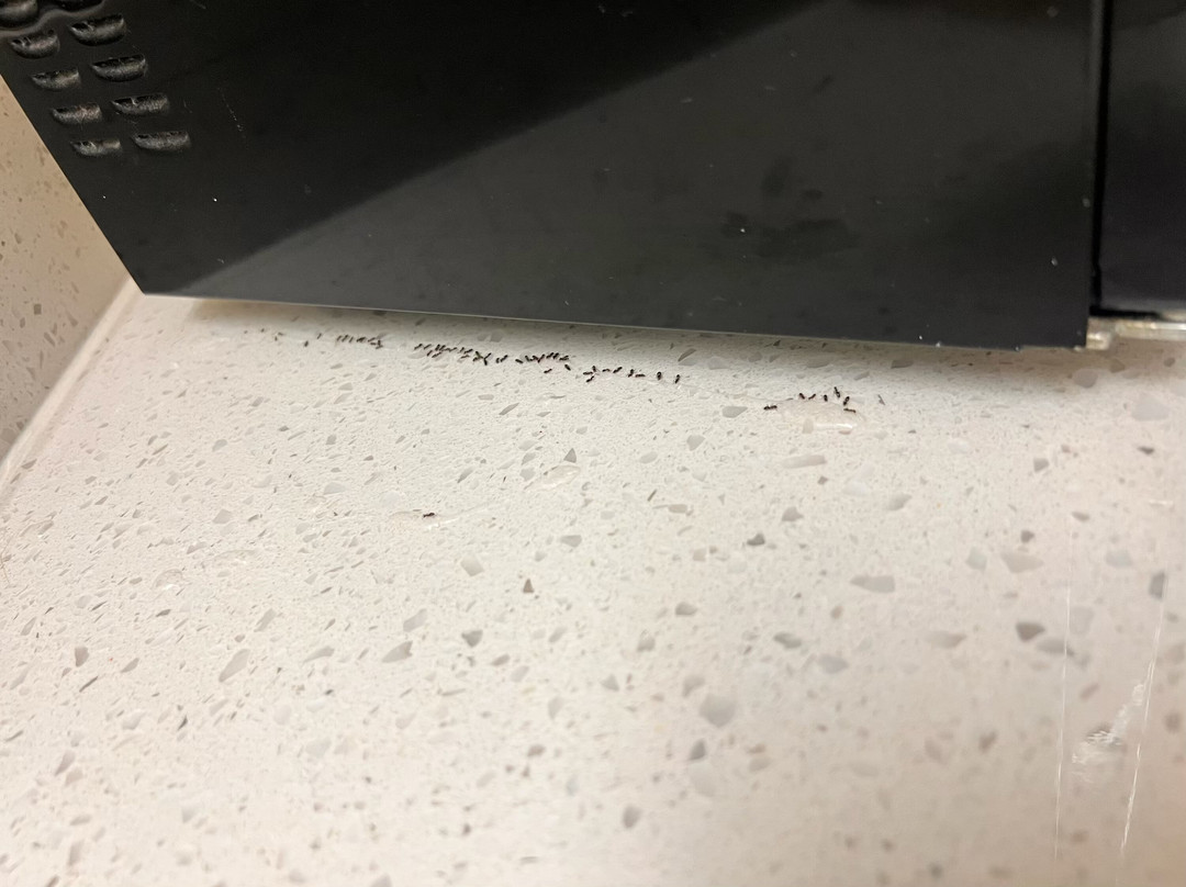 瓦格邦德主教酒店主图