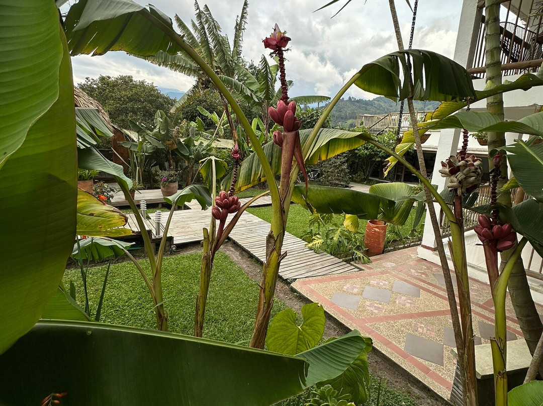 Terasu Salento Hotel Boutique主图