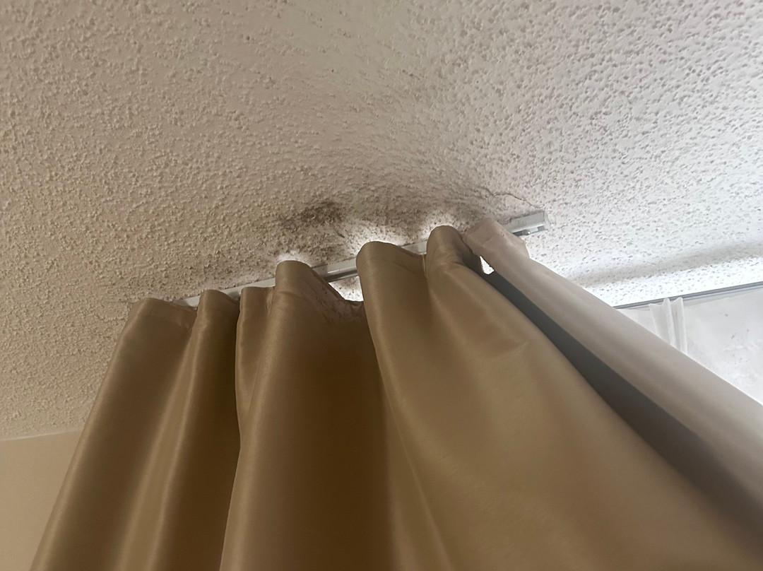 Comfort Inn & Suites Greenwood Near University主图