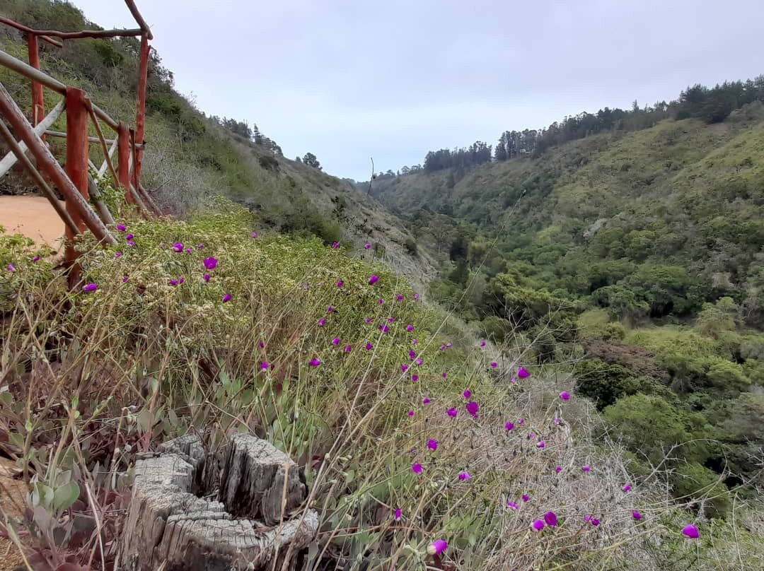 Quebrada de Cordoba-El Tabo必去景点