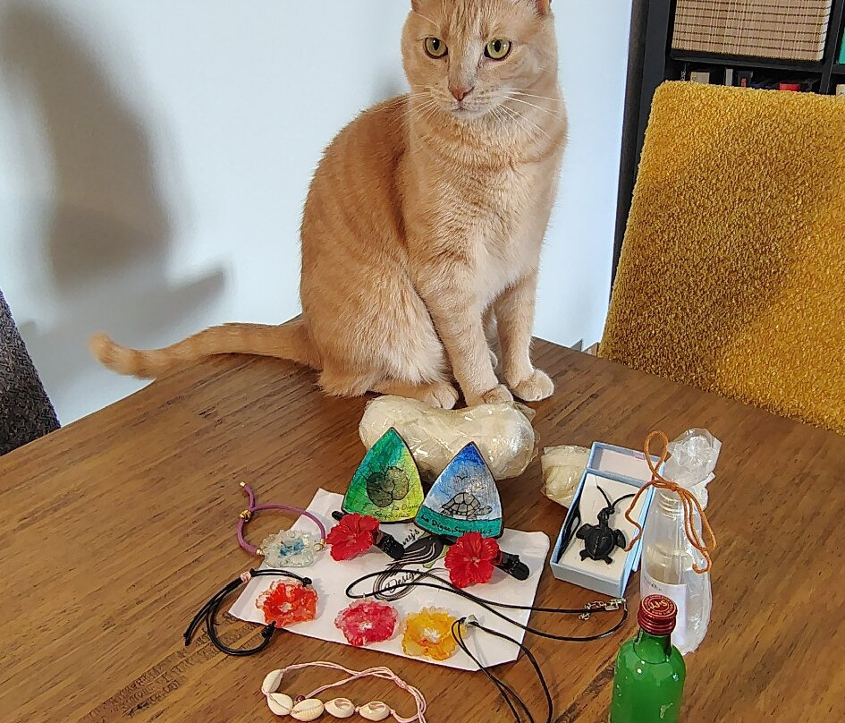 Tony's Design-La Digue必去景点