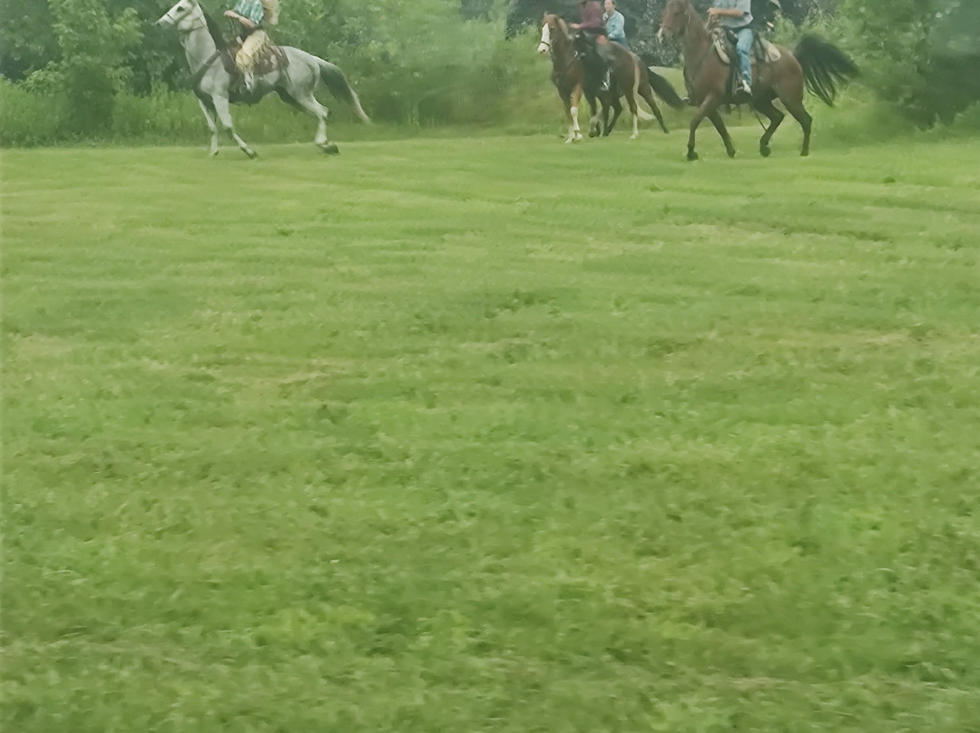 Hocking Valley Scenic Railway-Nelsonville必去景点