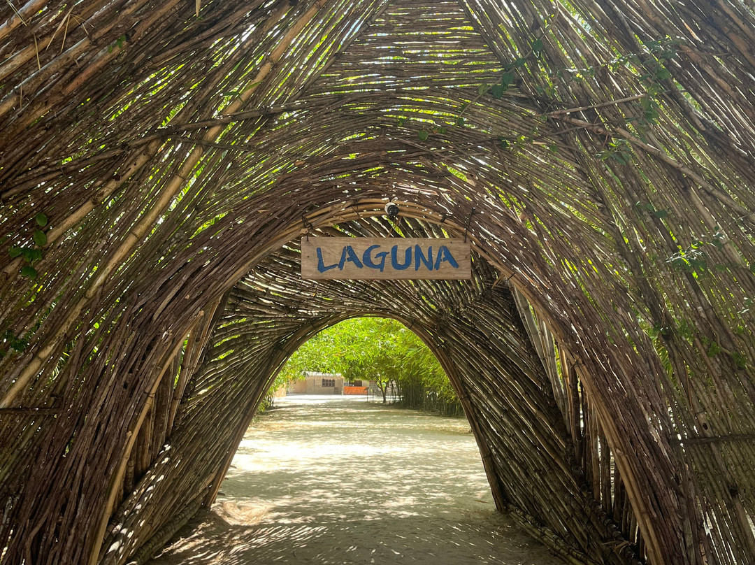 Dantas Turismo-杰里科科拉必去景点