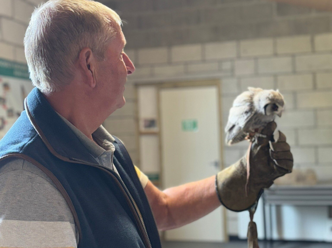 Fens Falconry-Wisbech必去景点
