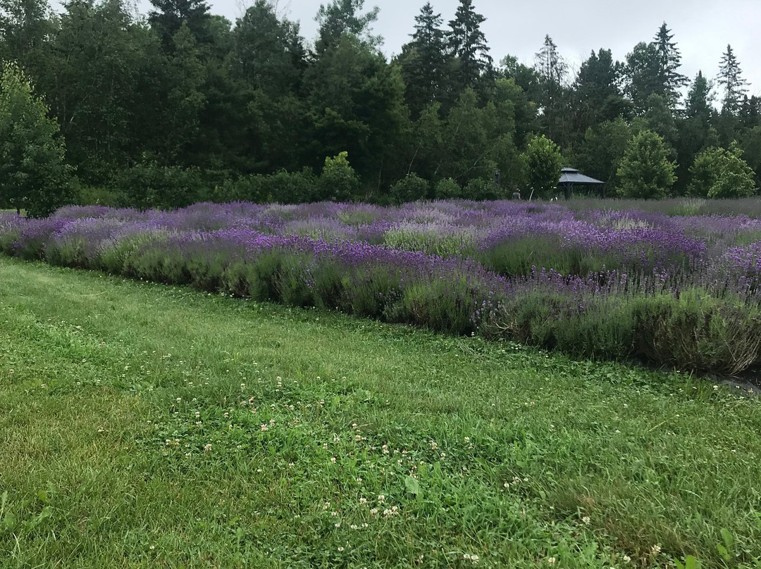 Bleu Lavande-梅戈格必去景点