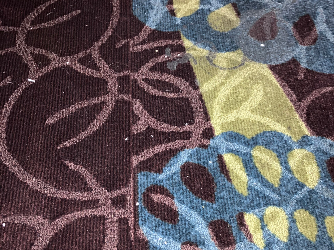 Comfort Inn Federal Way主图