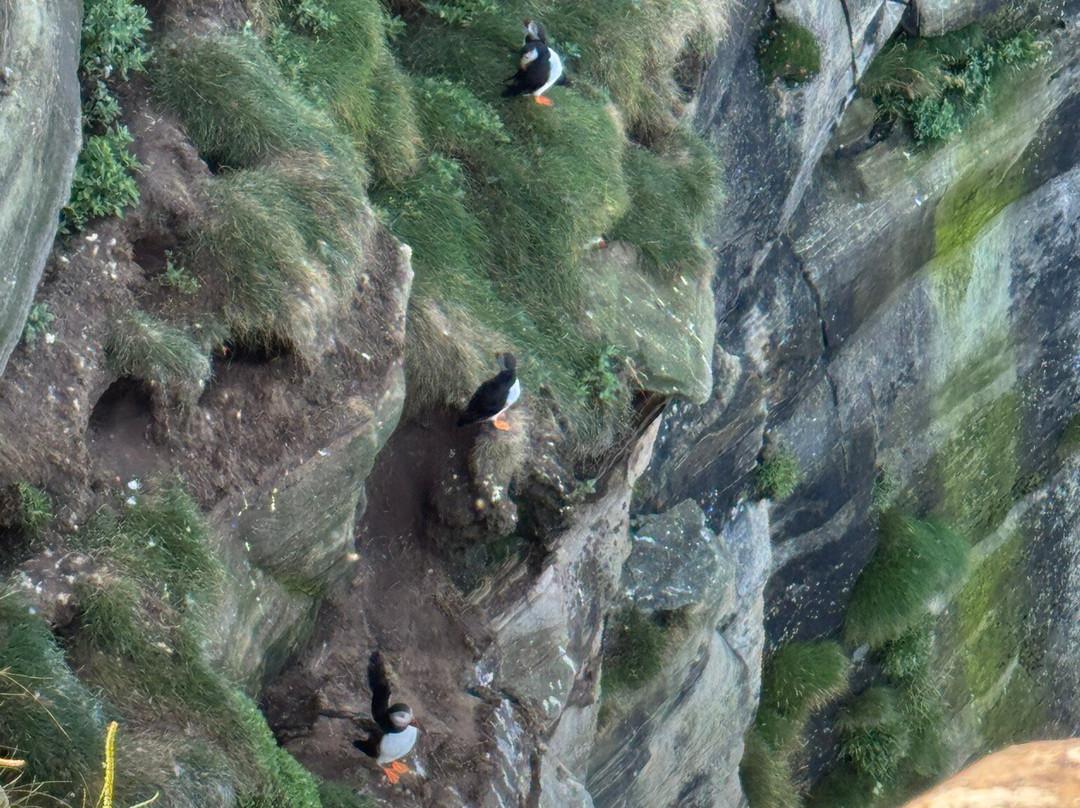 Secret Highlands-因弗内斯必去景点