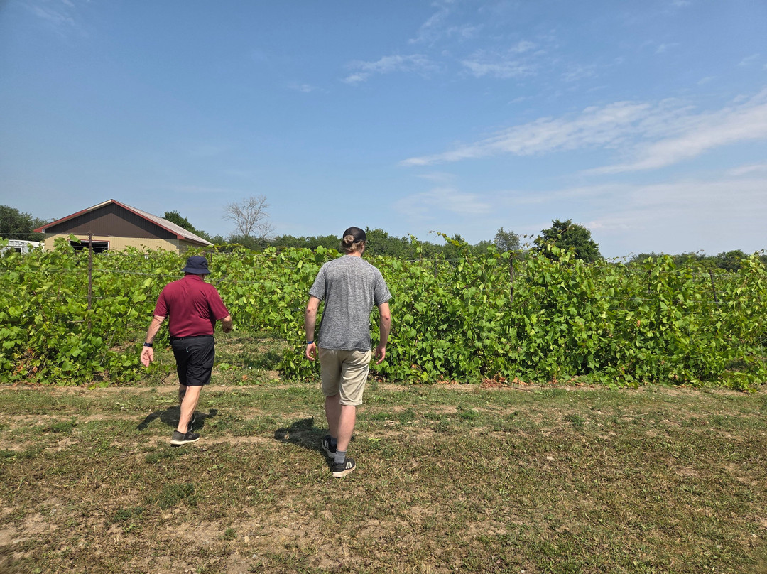 Sandbanks Estate Winery-Wellington必去景点