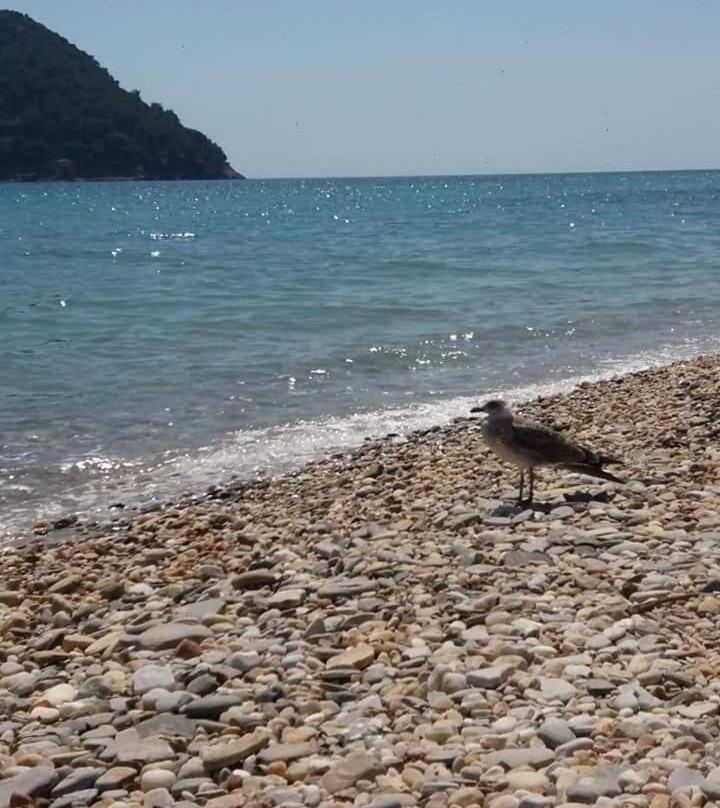 Paradeisos酒店住宿-Pension Giannis