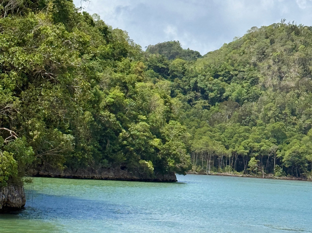 Cayenasam Travel and Tours-拉斯特拉纳斯必去景点