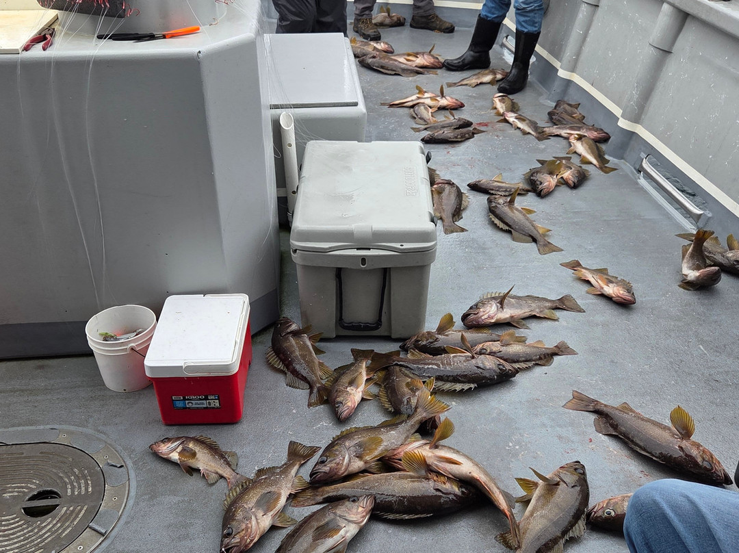 Tornado Fishing Charters-Westport必去景点