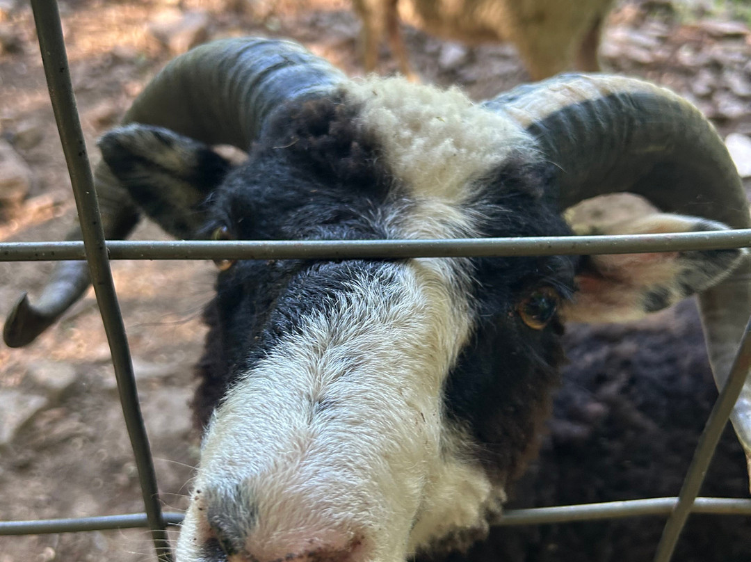 Bethel Pastures Farms Bed & Breakfast主图