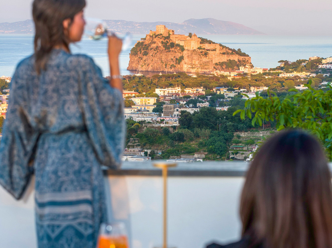 Hotel Villa Ireos主图