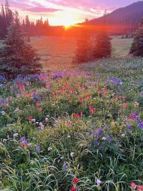 Wells Gray Adventures-克利尔沃特必去景点