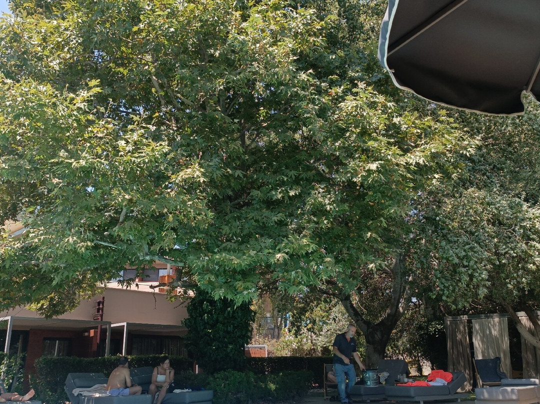 Alexander Beach Hotel & Spa主图