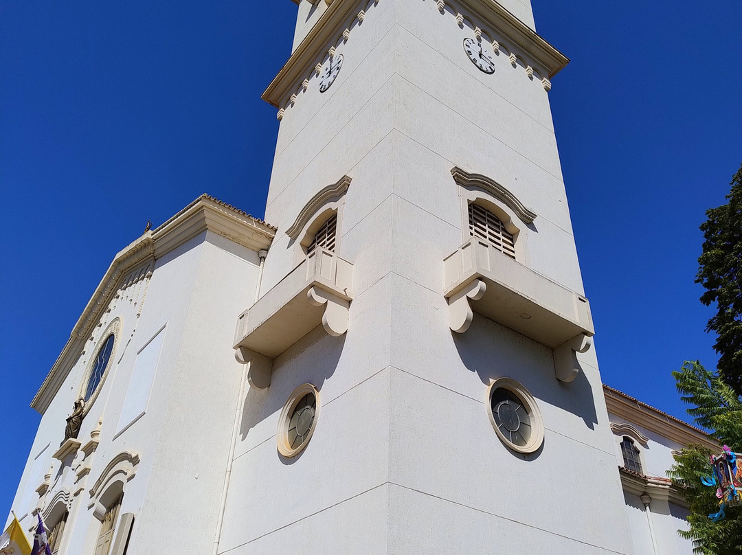 Categral Nossa Senhora das Dores-Limeira必去景点