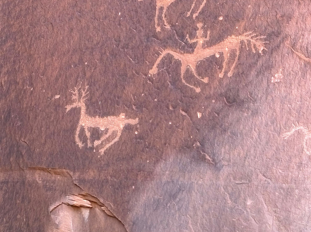 Canyon De Chelly Tours, Llc.-Chinle必去景点