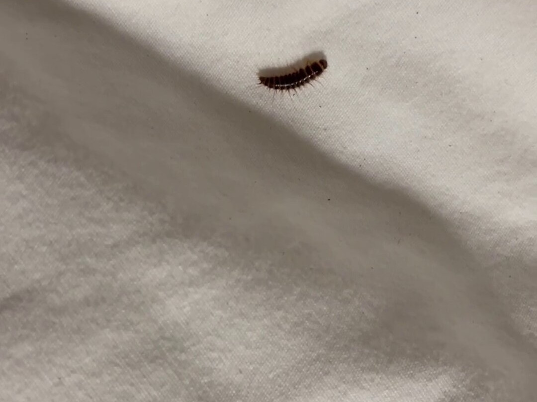 Hampton Inn Rutland主图