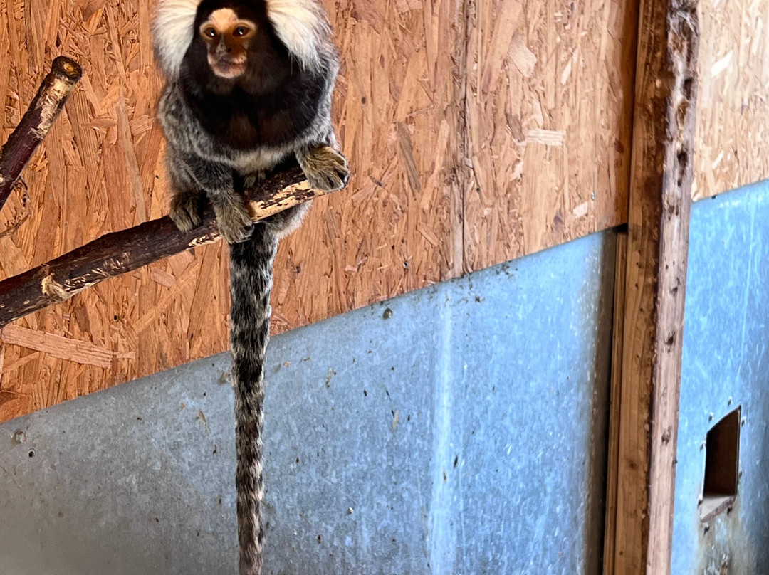 Nordisk Dyrepark-霍布罗必去景点