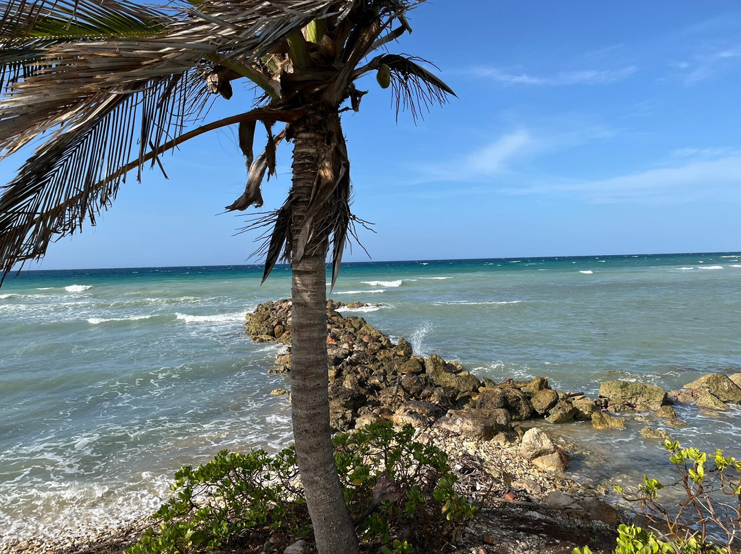 Cinnamon Hill Golf Course-罗斯霍尔必去景点