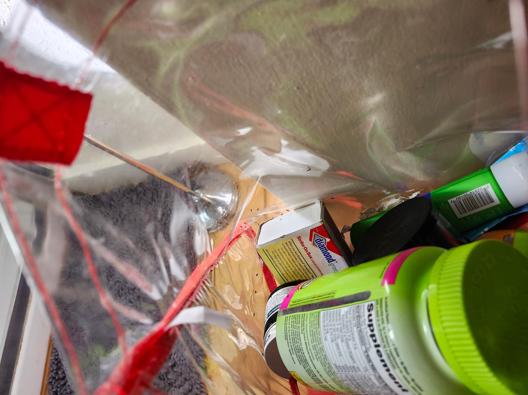 Laughing Lizard Inn主图