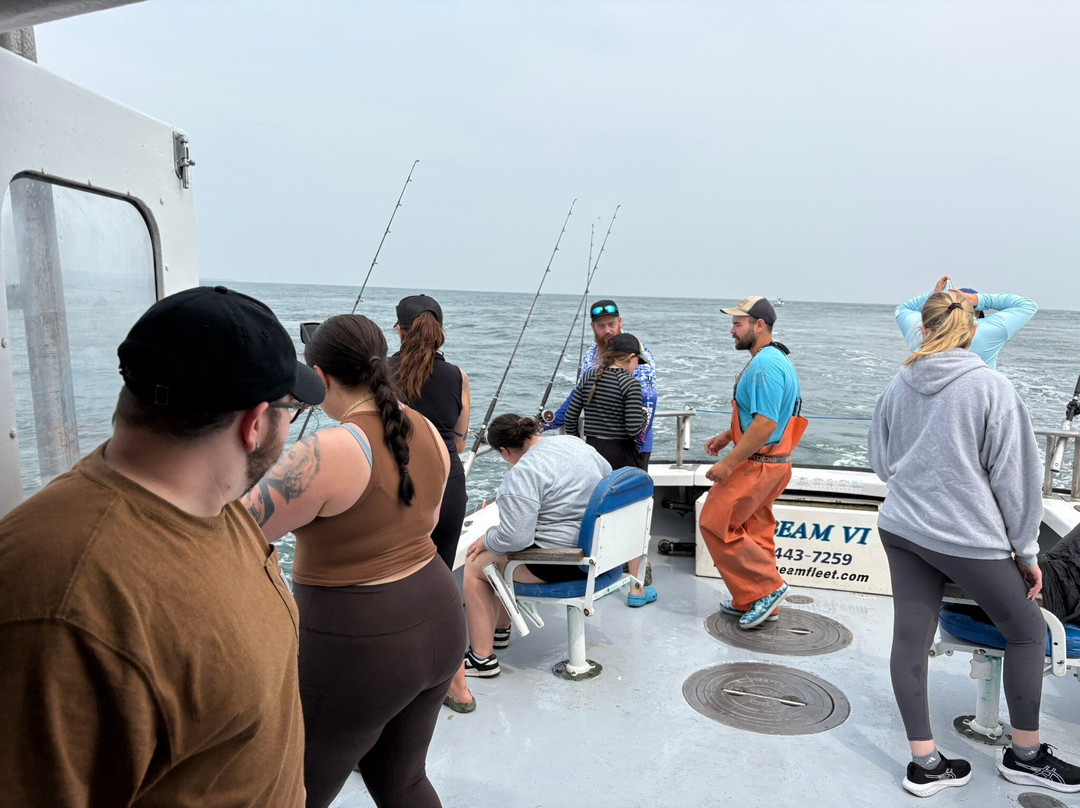 Sunbeam Fleet-Waterford必去景点