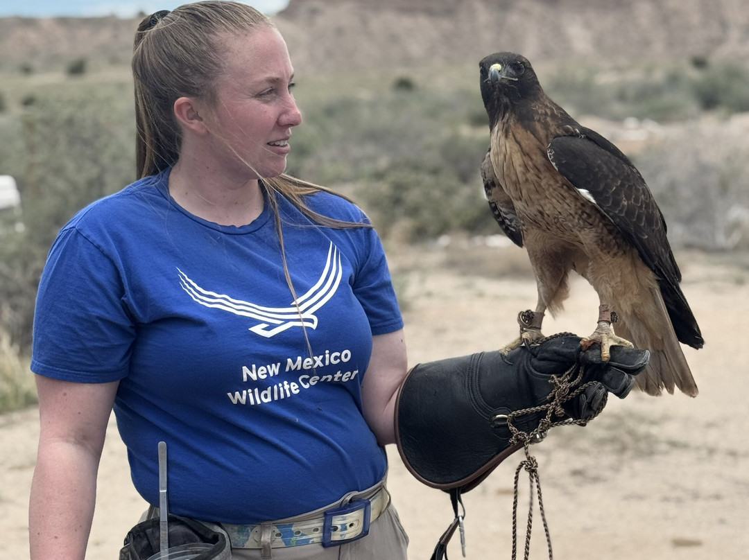New Mexico Wildlife Center-Espanola必去景点