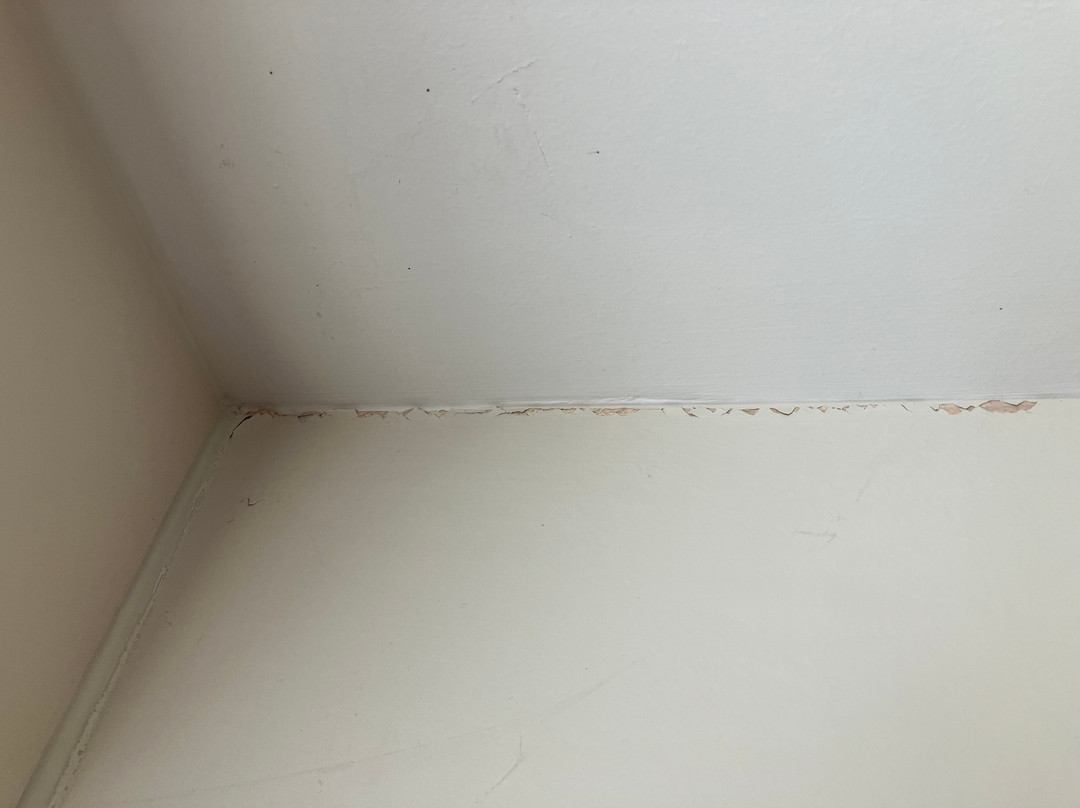 普瑞米尔哈利法克斯酒店主图