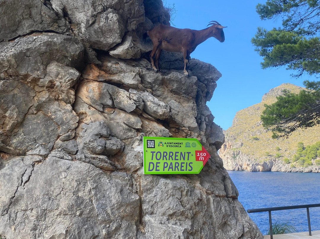 Sa Calobra-Escorca必去景点