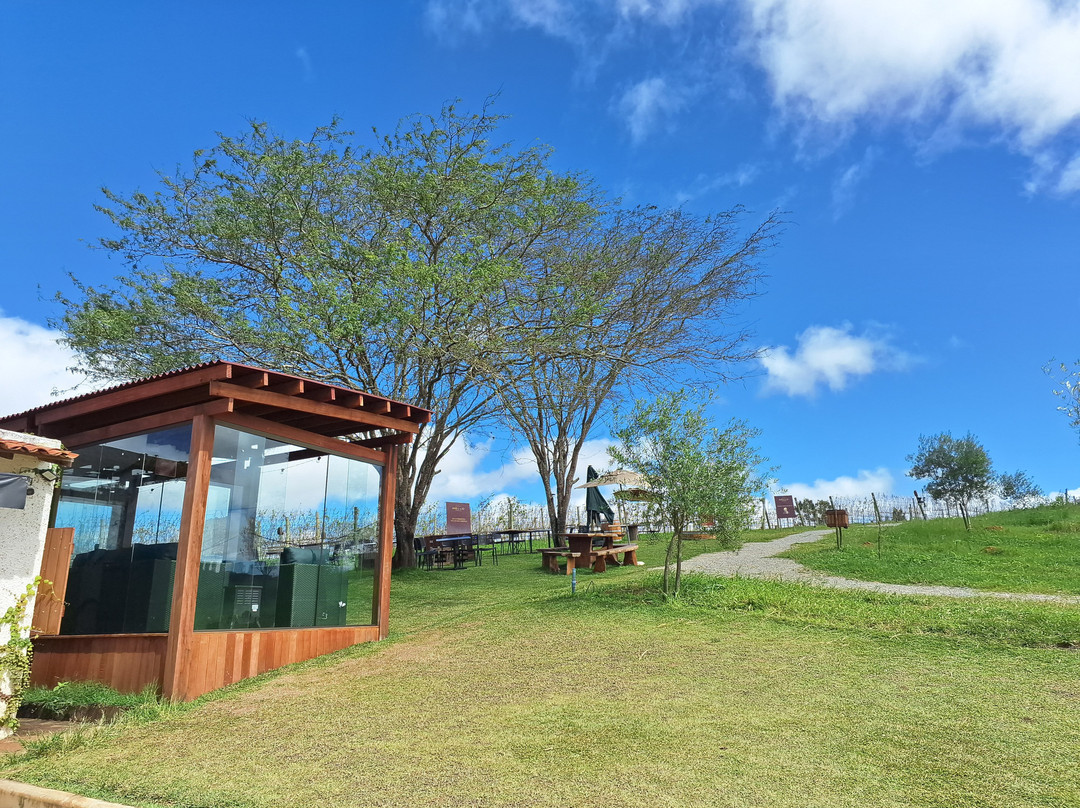 Mello Vinícola-Garanhuns必去景点