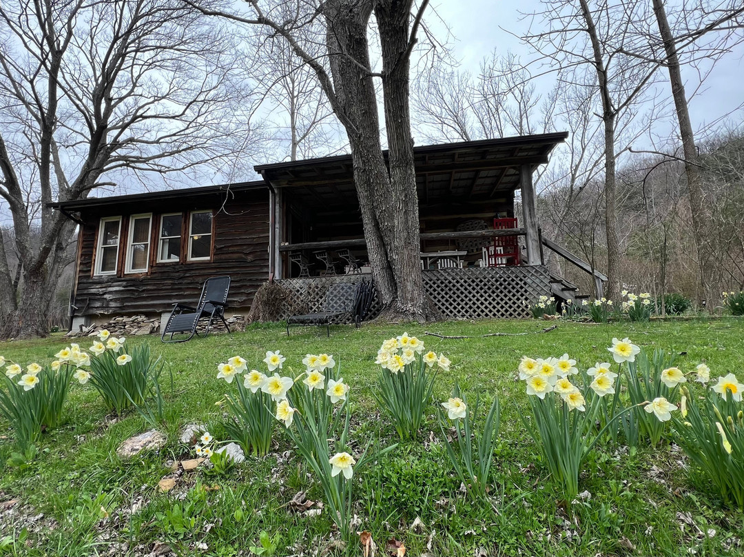 Snug Hollow Farm Bed & Breakfast主图