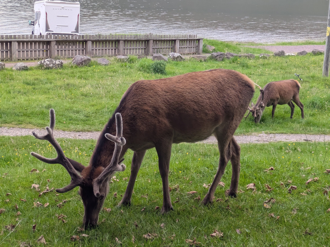 Applecross Inn主图