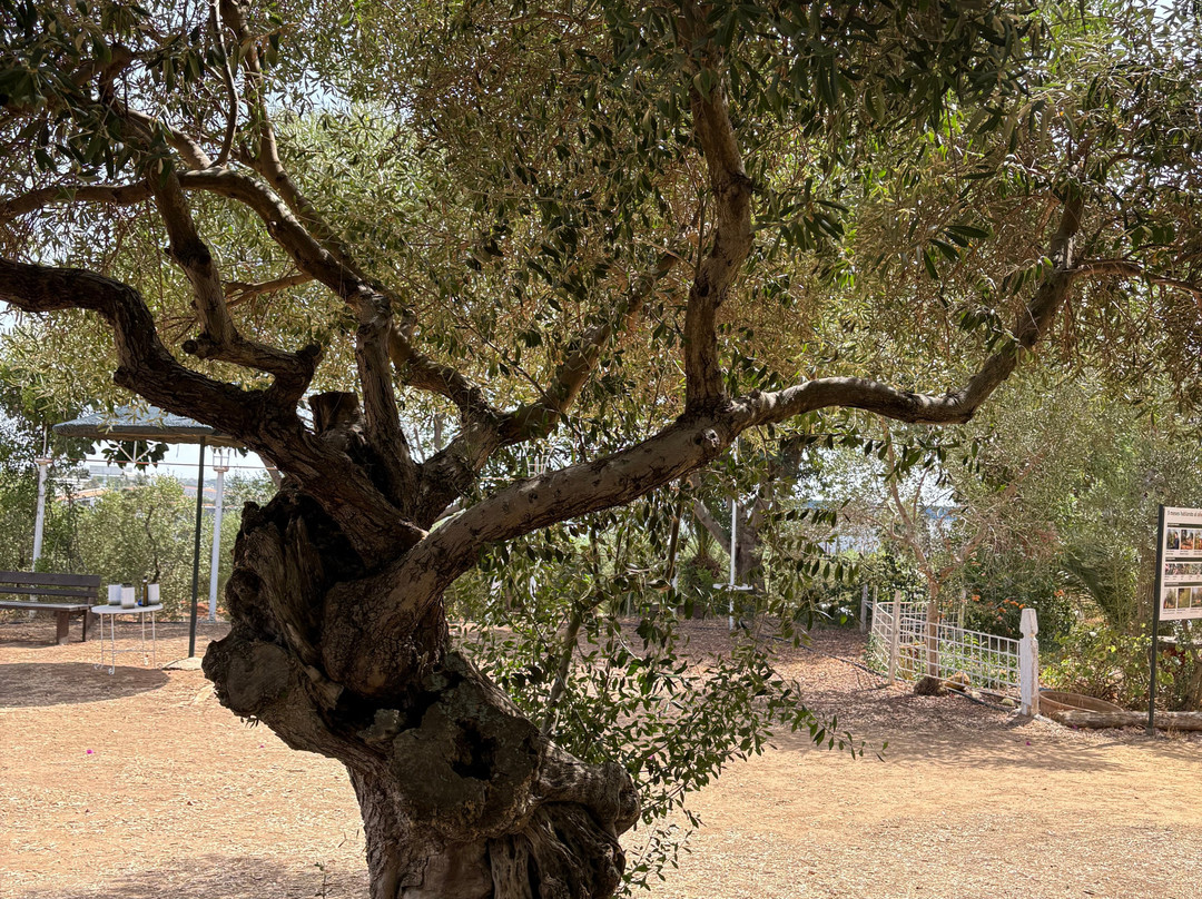 Basilippo-El Viso del Alcor必去景点