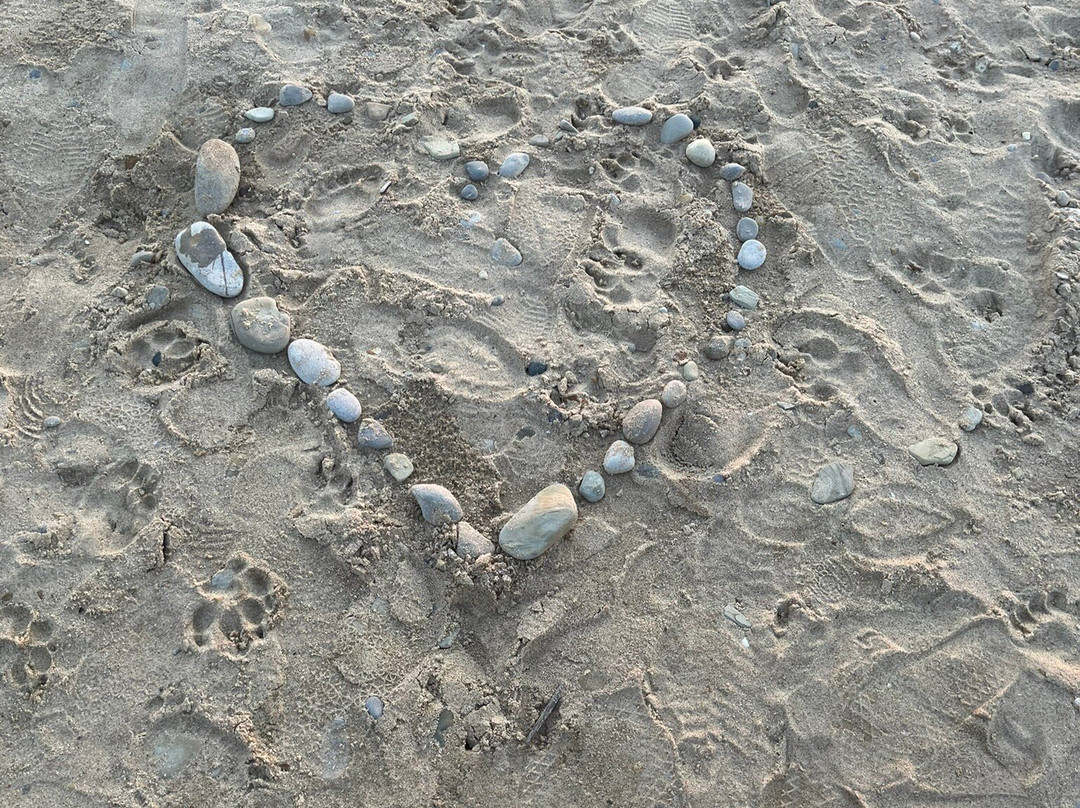 Torch Lake-Alden必去景点